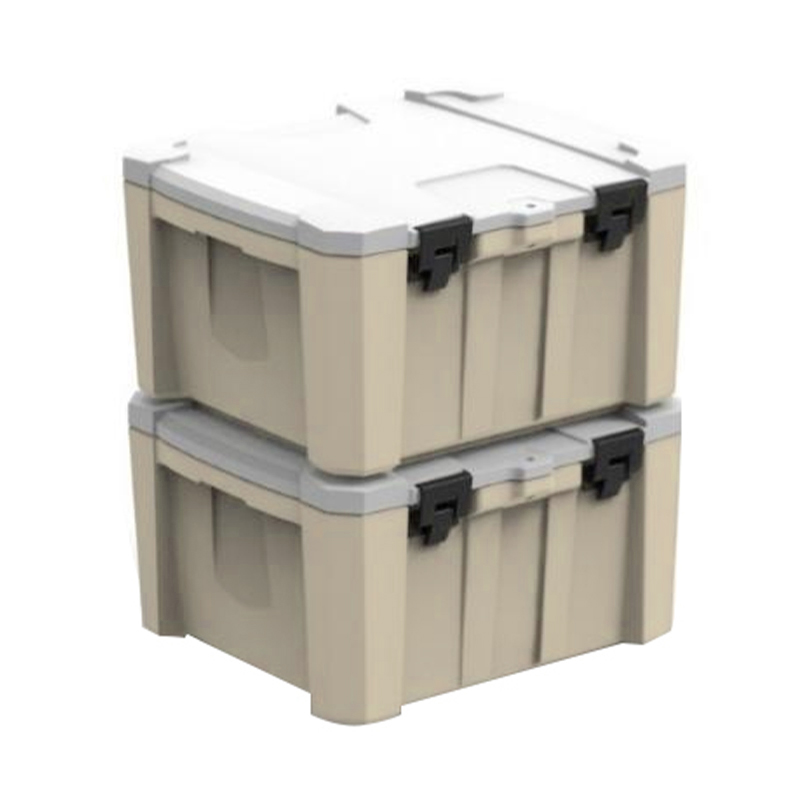 Cold chain insulation box mold