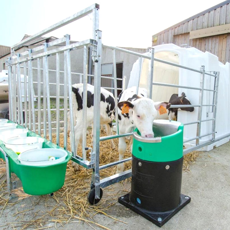 Livestock breeding mold